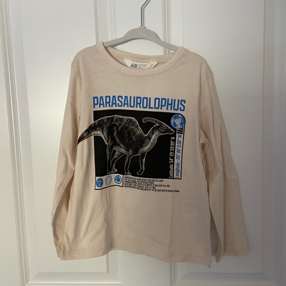 H&M Dinosaur Long-Sleeve Shirt
